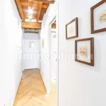 Rent 3 bedroom apartment of 80 m² in Lucca