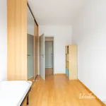 Rent 3 bedroom apartment in Praha 4