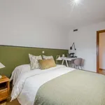 Rent a room of 150 m² in madrid