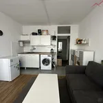 Rent 1 bedroom apartment in Chomutov