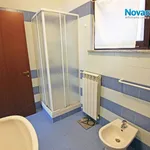 Rent 2 bedroom apartment of 32 m² in Novara