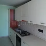 Rent 3 bedroom apartment of 100 m² in Caserta