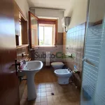 Rent 5 bedroom apartment of 80 m² in Chieti