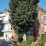 Rent 3 bedroom apartment in Brussels