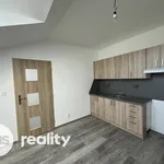 Rent 1 bedroom apartment in Nový Jičín