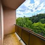 Rent 2 bedroom apartment of 50 m² in Miskolc