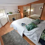 Rent 3 bedroom apartment of 57 m² in Szczecin