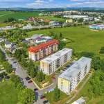 Pronajměte si 4 ložnic/e byt o rozloze 74 m² v Dlouhoňovice