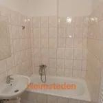 Rent 3 bedroom apartment of 61 m² in Trhový Štěpánov