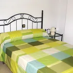 Rent 3 bedroom apartment of 50 m² in Cadiz']