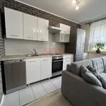 Rent 2 bedroom apartment of 40 m² in Wrocław