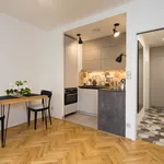 Rent 1 bedroom apartment of 30 m² in Prague