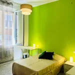 Rent 4 bedroom apartment in Bologna