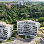 Rent 3 bedroom apartment of 85 m² in Znojmo