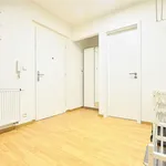 Rent 3 bedroom apartment of 120 m² in Prague