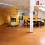 Rent 4 bedroom apartment of 120 m² in Dalovice