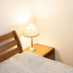 Rent 1 bedroom apartment in dublin