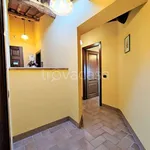 Rent 3 bedroom apartment of 75 m² in Capannori