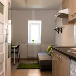 Rent 1 bedroom apartment of 16 m² in Łódź