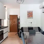 Rent 2 bedroom apartment of 50 m² in Milano