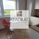 Rent 3 bedroom apartment of 63 m² in Szczecin