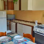 Rent 3 bedroom apartment of 70 m² in Follonica