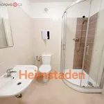 Rent 2 bedroom apartment of 38 m² in Trhový Štěpánov