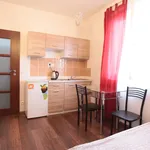 Pronajměte si 1 ložnic/e byt o rozloze 25 m² v Prague