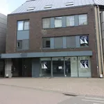 Rent 3 bedroom apartment in Wetteren