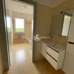 Rent 1 bedroom apartment of 68 m² in San Bonifacio