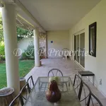 Rent 2 bedroom apartment of 100 m² in Νέα Ερυθραία