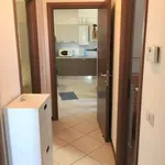 Rent 3 bedroom apartment of 80 m² in Chieti