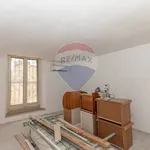 Rent 2 bedroom apartment of 50 m² in Caltagirone