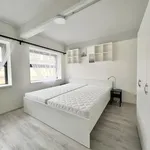 Rent 1 bedroom apartment in Brno