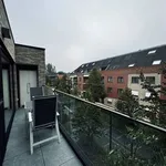 Rent 2 bedroom apartment in Beveren