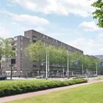 Huur 3 slaapkamer appartement van 76 m² in Rotterdam