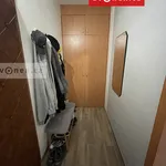 Rent 2 bedroom apartment of 45 m² in Zlín