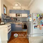 Rent 3 bedroom apartment of 65 m² in Pisa