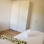 Rent 2 bedroom apartment in Florence