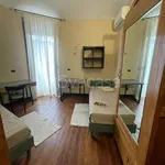 Rent 3 bedroom apartment of 65 m² in Torino