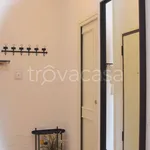 Rent 2 bedroom apartment of 56 m² in Bologna