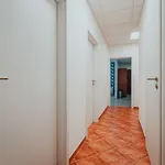 Rent 3 bedroom apartment of 95 m² in Brno