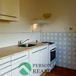 Rent 3 bedroom apartment in Litoměřice