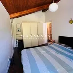 Rent 2 bedroom apartment of 50 m² in Turin