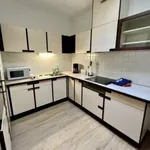 Rent 3 bedroom apartment of 95 m² in Linz