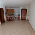 Rent 3 bedroom apartment of 75 m² in Adria