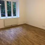 Miete 1 Schlafzimmer wohnung von 39 m² in Vienna