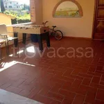 Rent 1 bedroom apartment of 35 m² in Pontedera