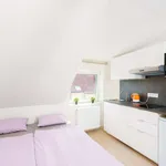 Studio o rozloze 18 m² v prague