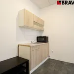 Rent 1 bedroom apartment of 30 m² in Brno